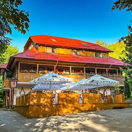 Guest house Pensiunea Retezat Campu Lui Neag