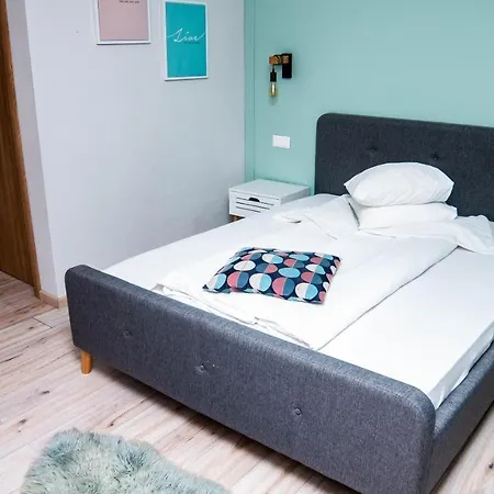 Pensiunea Retezat Campu Lui Neag Guest house