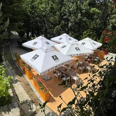 Guest house Pensiunea Retezat Campu Lui Neag Uricani (Hunedoara)