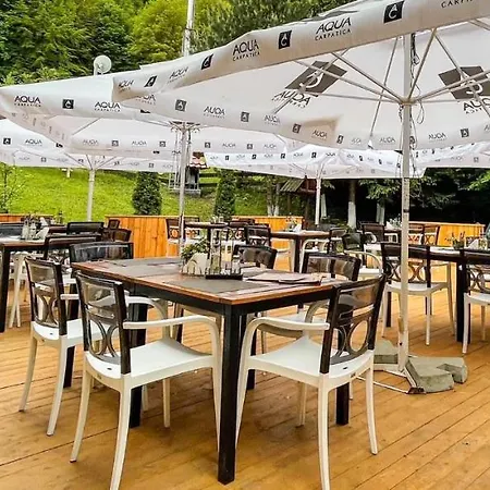 Pensiunea Retezat Campu Lui Neag Guest house