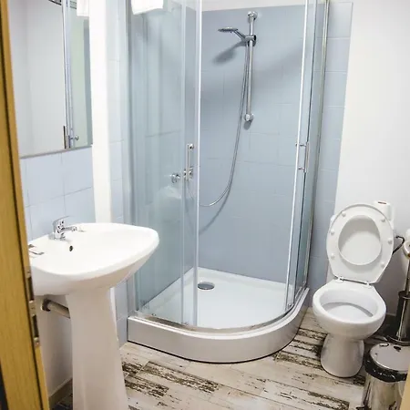 Pensiunea Retezat Campu Lui Neag Guest house