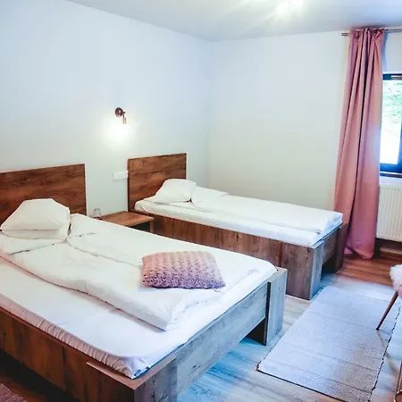 Guest house Pensiunea Retezat Campu Lui Neag *